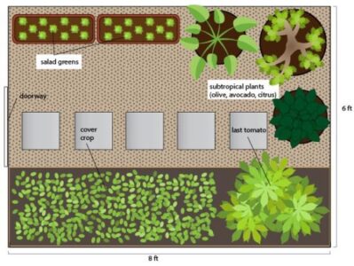 Greenhouse Fall Layout Diagram